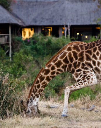 Nikon Family Weekend 2