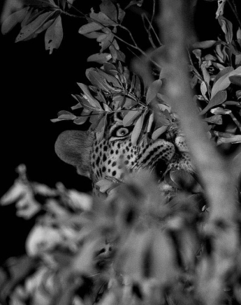 16Kyle River Rocks Male 3