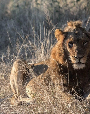 14Kevan Dobbie Unknown Males  Final