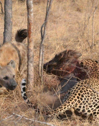 30Ronald Mutero WD 07092019 2 Final