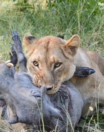 05Ronald Mutero Sp Females 06022020 10 Final 05Ronald Mutero Sp Females 06022020 10 Final