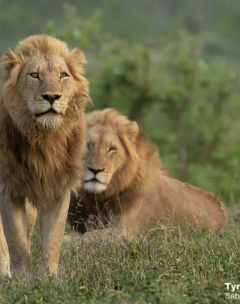 33Tyron Van Der Walt NWashishaka Males 301020 1 Final