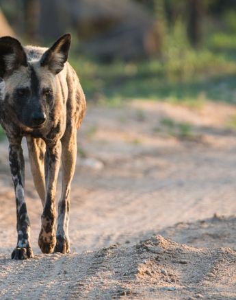 HighlightsOct Nov.Terry 