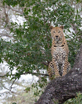 35Louise Murray Max 24052019 2 Final 35Louise Murray Max 24052019 2 Final