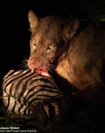 B09Jason Street Styx 130123 1. Final