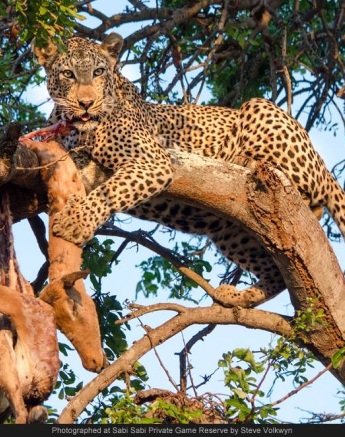 10540674 742357802478540 5466219211718142153 O