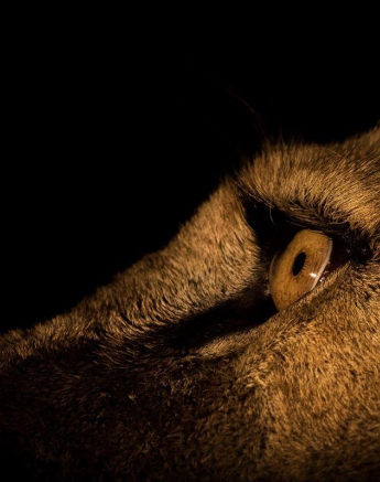 08Franscois Rosslee Matimba3 1 Of 1 Final