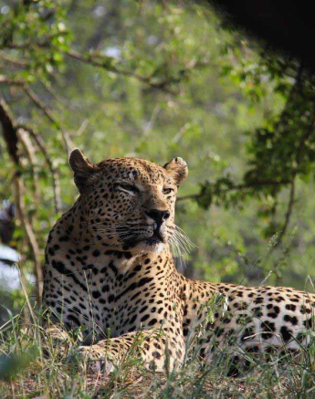 20Louise Murray Max Final 20Louise Murray Max Final