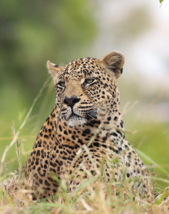 19Marco Vietti Nweti 090521 Final