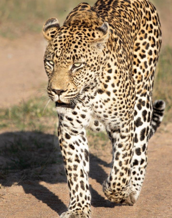 A13Jason Street Nweti 140422 2 Final