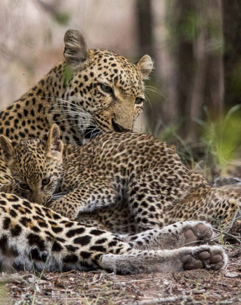 06Franscois Rosslee Ingwelbc3