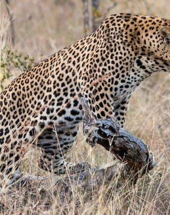 07Kerry Lee Roberg WD3 Final 07Kerry Lee Roberg WD3 Final