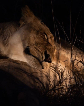 18Kevin Van Der Linde SP 21112018 Final