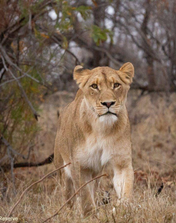 11Greg Heasman Sp 020920 1 Final 11Greg Heasman Sp 020920 1 Final