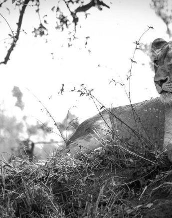 01Kevan Dobbie SP 2310.3 Final