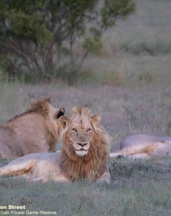 A42Jason Street Nkuhlu Males 021222. Final