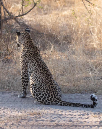 15 Louise Murray Ntsumi 22082019 1 15 Louise Murray Ntsumi 22082019 1