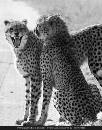 10380172 701839419863712 2828100115848773070 O