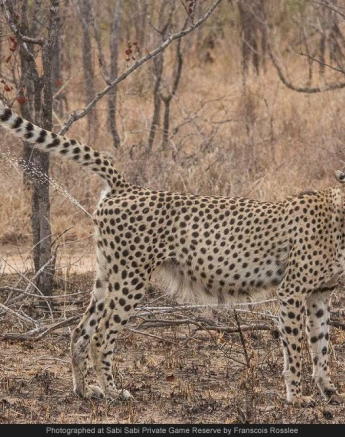 10511508 742037295843924 6665021508213109931 O