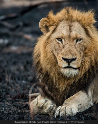 10661866 739548982759422 5172845927876422519 O