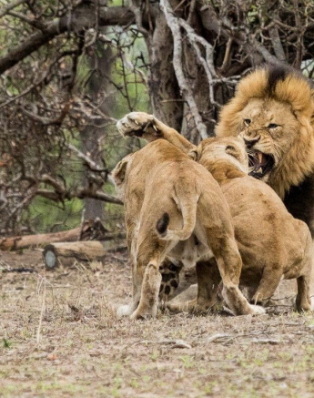 32Kevan Dobbie SP 2 Final