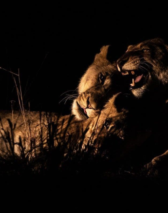 05Kevin Van Der Linde SP 17102018 2 Final