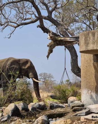 14Ellie Earth3 Rebecca FINAL