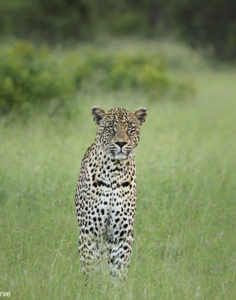 A12Erin Herbst Nweti 230122 Final