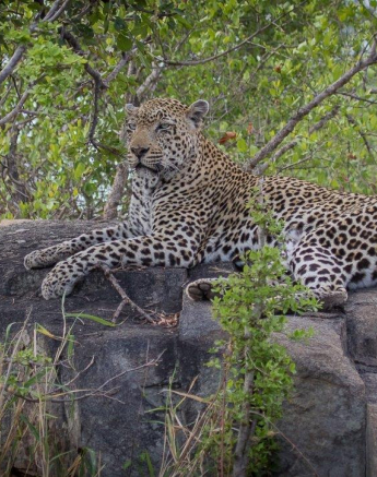 29Kevan Dobbie Kashan 2210.1 Final