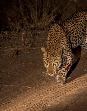 17Kyle River Rocks Male 4