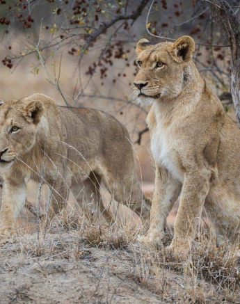 9 Terry Ennever SPMP 2018819 Final