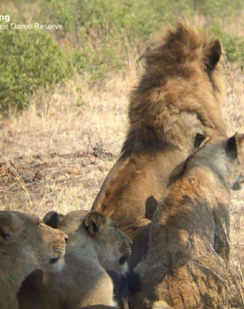 33Ruth Berning Mhangeni 20102019 Final