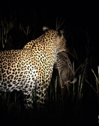 30Ronald Mutero Msuthu 17022020  15 Final 30Ronald Mutero Msuthu 17022020  15 Final