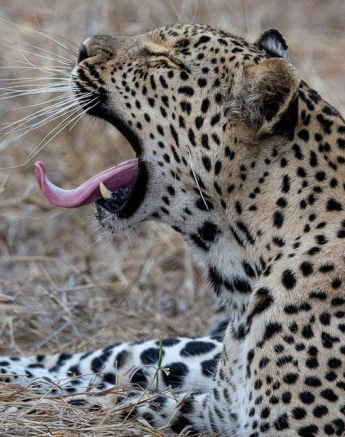 A17Ronald Mutero Ntsumi 29092021 2 Final