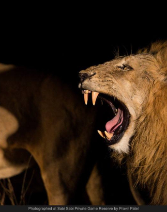 10499367 697640876950233 9019901321247293383 O