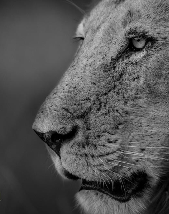 10838229 809244869123166 9077908995224313713 O