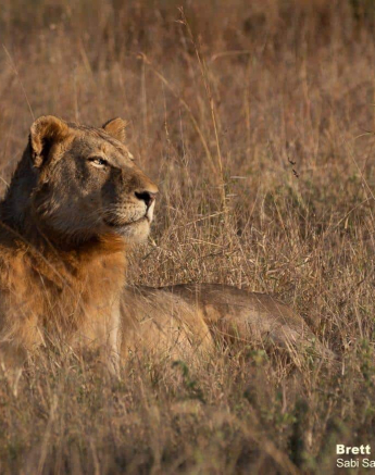15Brett Heasman Nkuhuma And Styx 28052020 8 Final