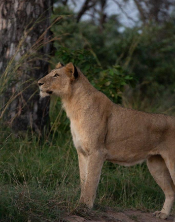 A34David Den Hartog Mhangeni Pride 14 04 2022 2 Final