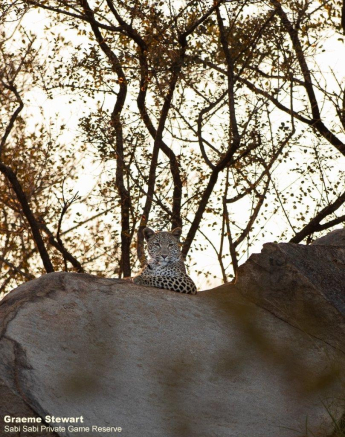 A30Graeme Stewart Jacana 180622 1  Final A30Graeme Stewart Jacana 180622 1  Final