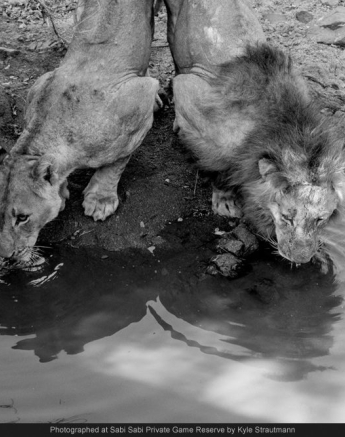 10339536 699739973406990 6463260278483643925 O