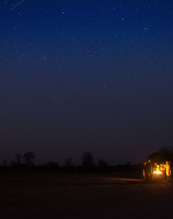 Stars Gazing1 1 Of 1 Stars Gazing1 1 Of 1