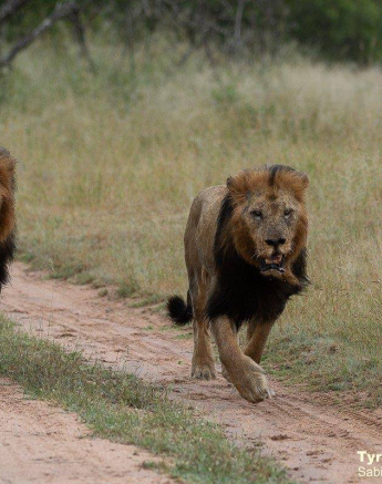 09Tyron Van Der Walt Birmingham Males 160420 3 Final