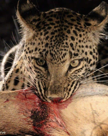 05Louise Murray Ntsumi 27052020 4 Final 05Louise Murray Ntsumi 27052020 4 Final