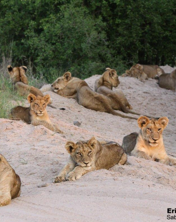 A06Erin Herbst Styx 3 111212 Final A06Erin Herbst Styx 3 111212 Final