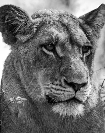 02Kevan Dobbie SP 2310.4 Final