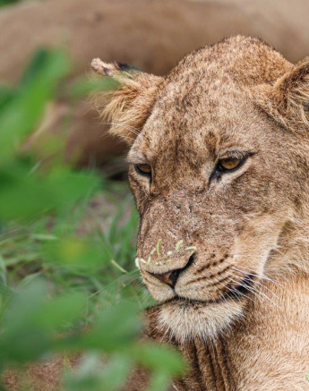 B01Coenraad Stapelberg Styx 130123 1 Final