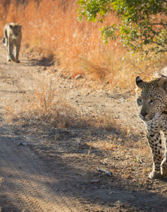 Maxabeni And White Dam 1 Pravir Maxabeni And White Dam 1 Pravir