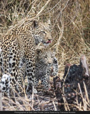 1115991 740102822704038 7939687851389103842 O