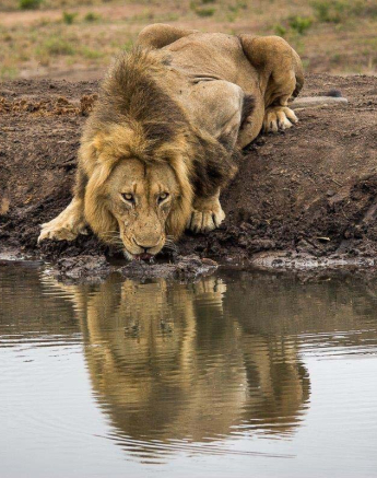 17Franscois Rosslee Cdrink