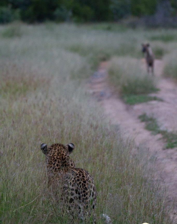 09Louise Murray Nweti 11042019 Final